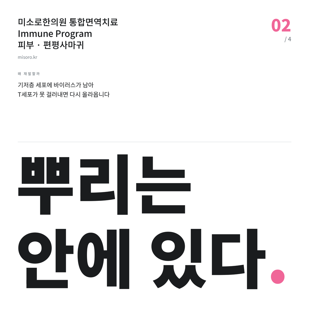 이천 편평사마귀 뿌리는 안에 있다