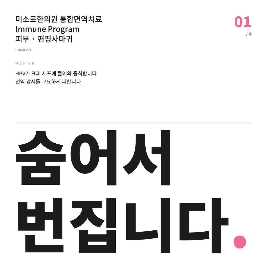 계룡 편평사마귀 숨어서 번집니다