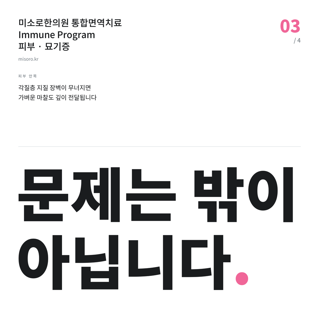 양평동 묘기증 문제는 밖이 아닙니다