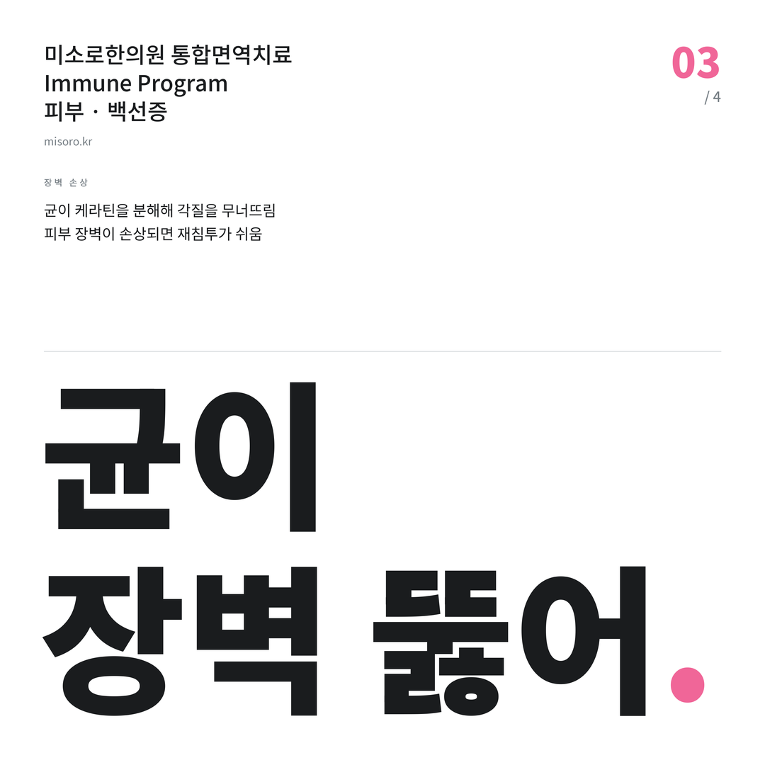 배곧 백선증 균이 장벽 뚫어