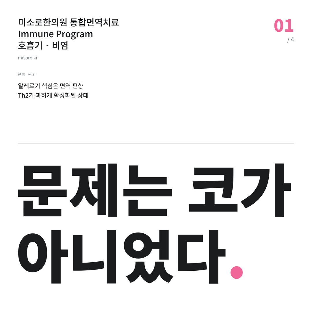 불당 비염 문제는 코가 아니었다