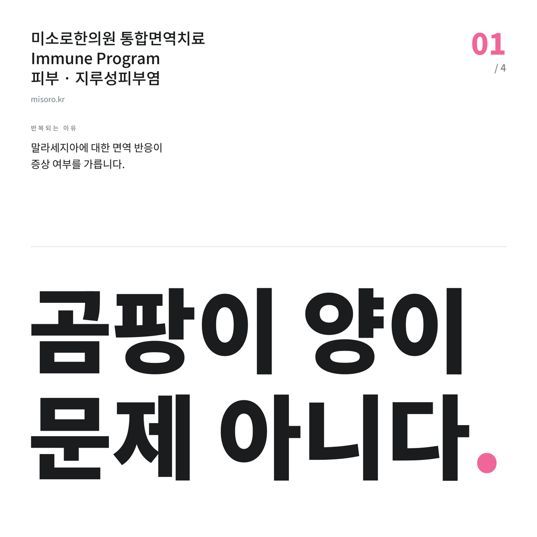 병점 지루성피부염 곰팡이 양이 문제 아니다