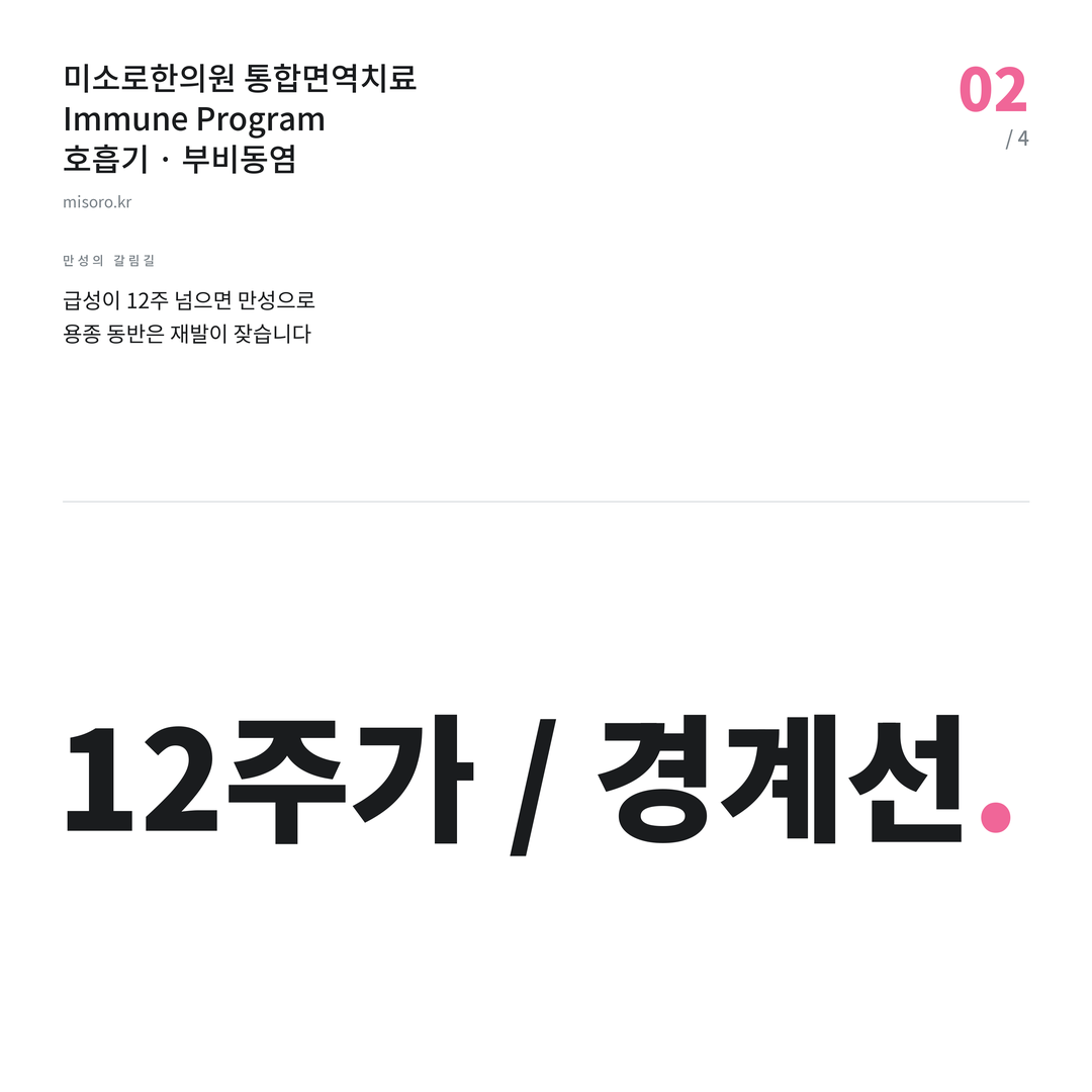 광교 부비동염 12주가 / 경계선