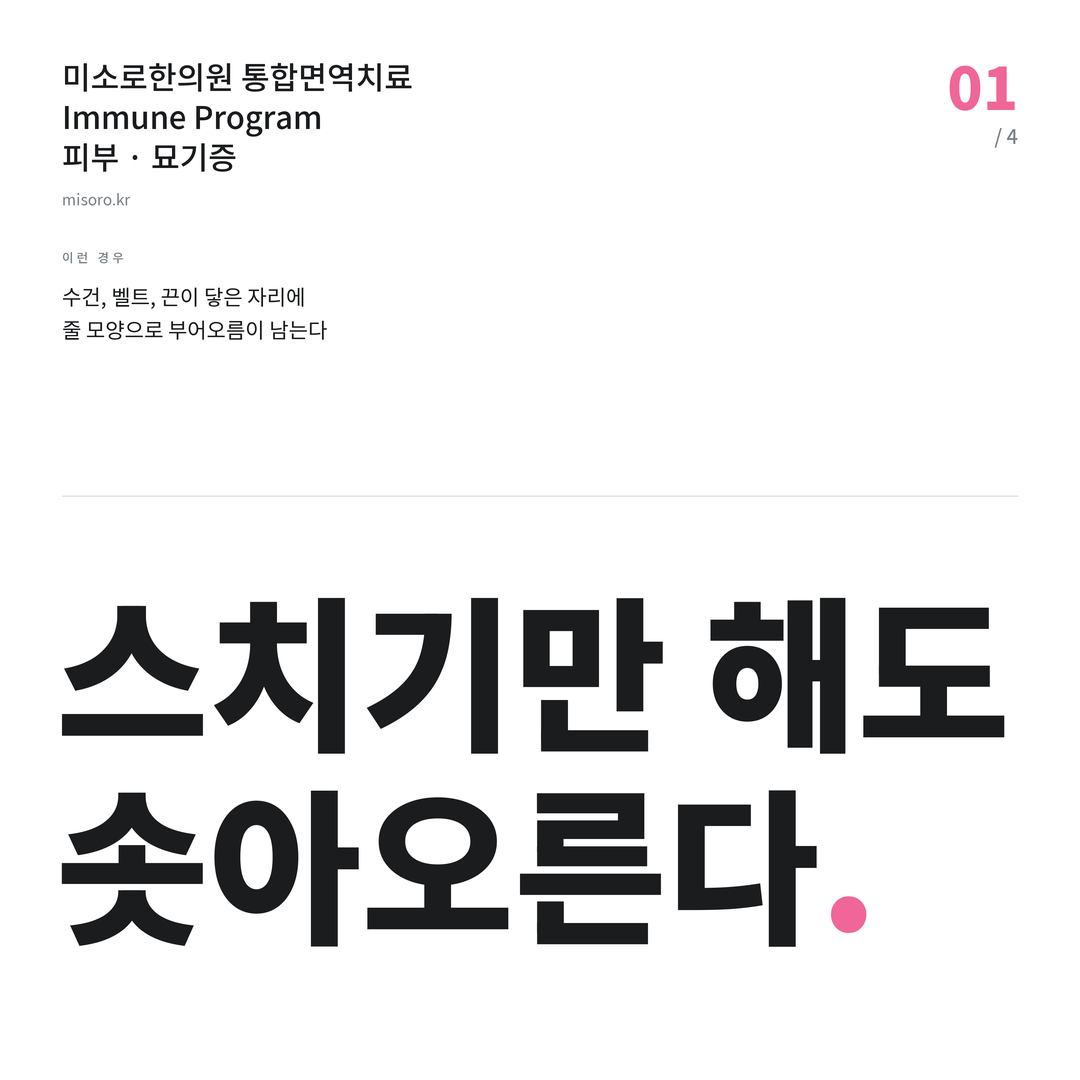 효자동 묘기증 스치기만 해도 솟아오른다