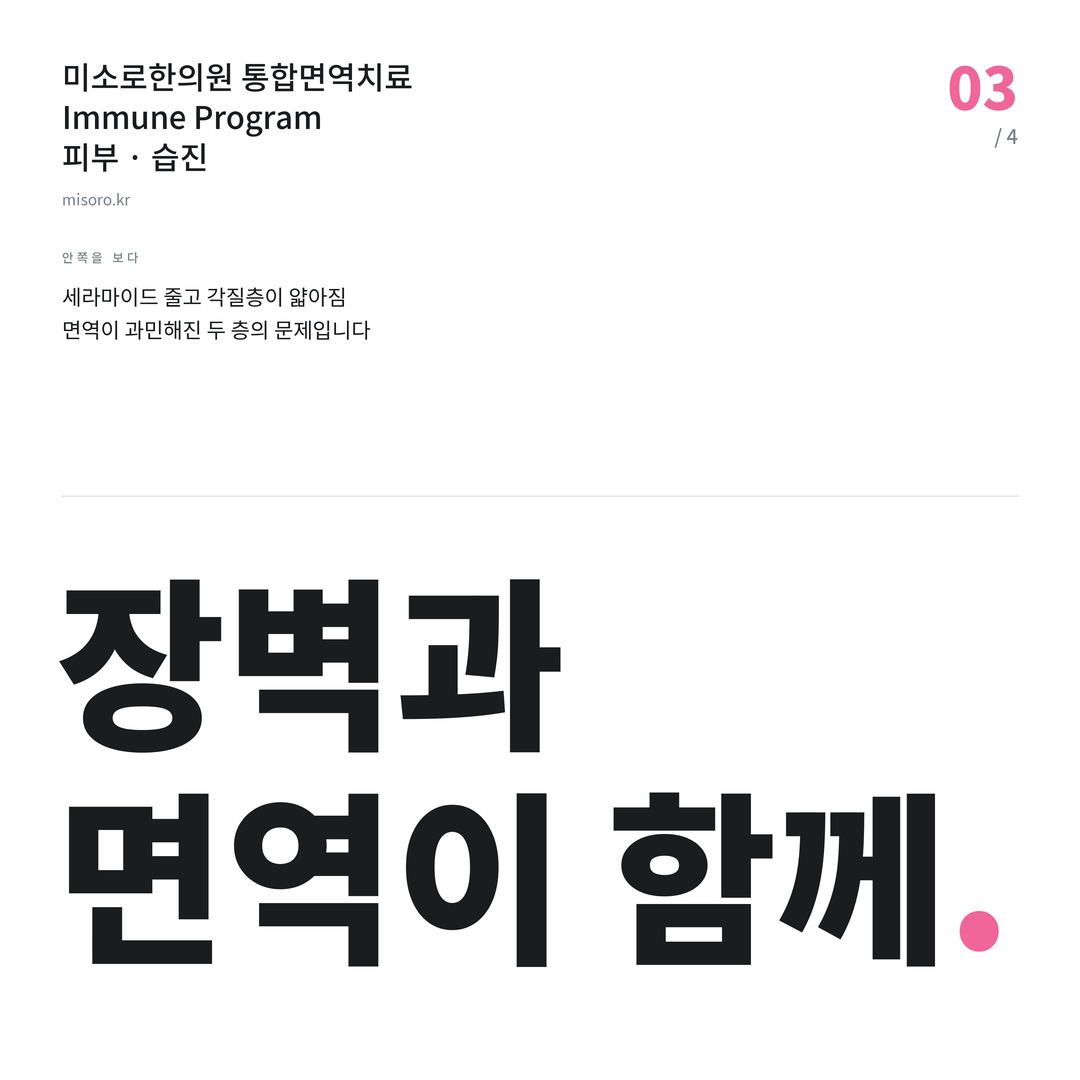 습진 장벽과 면역이 함께