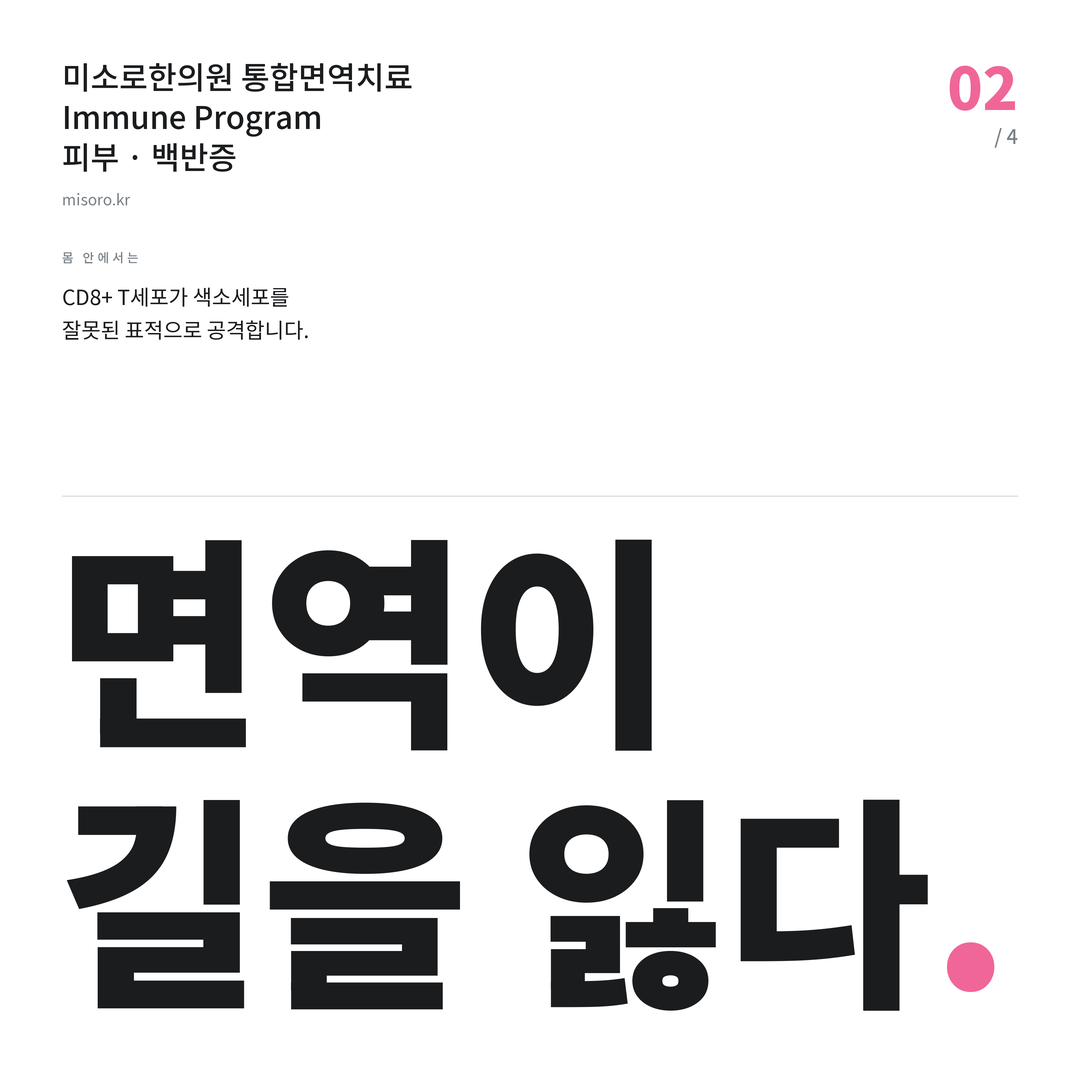 백반증 면역이 길을 잃다