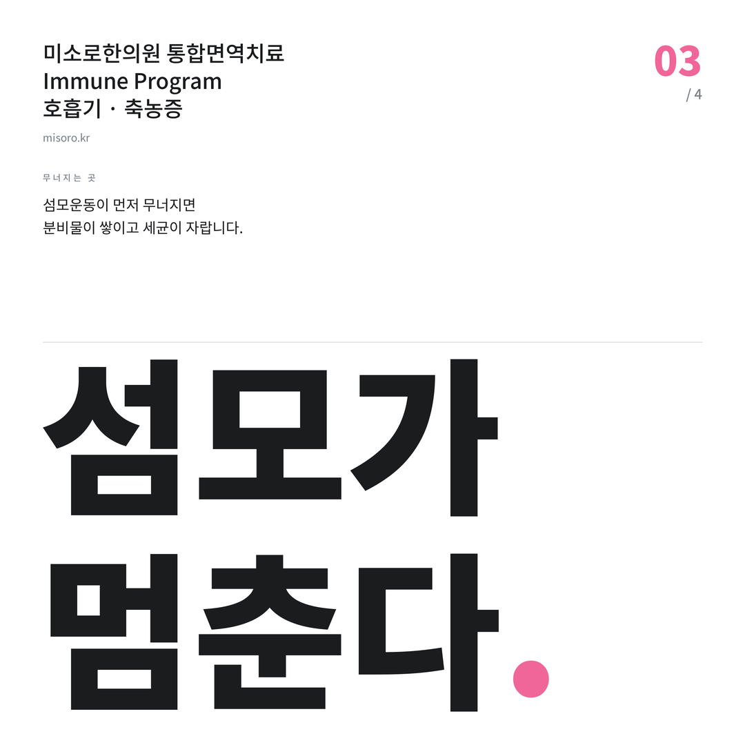 축농증 섬모가 멈춘다