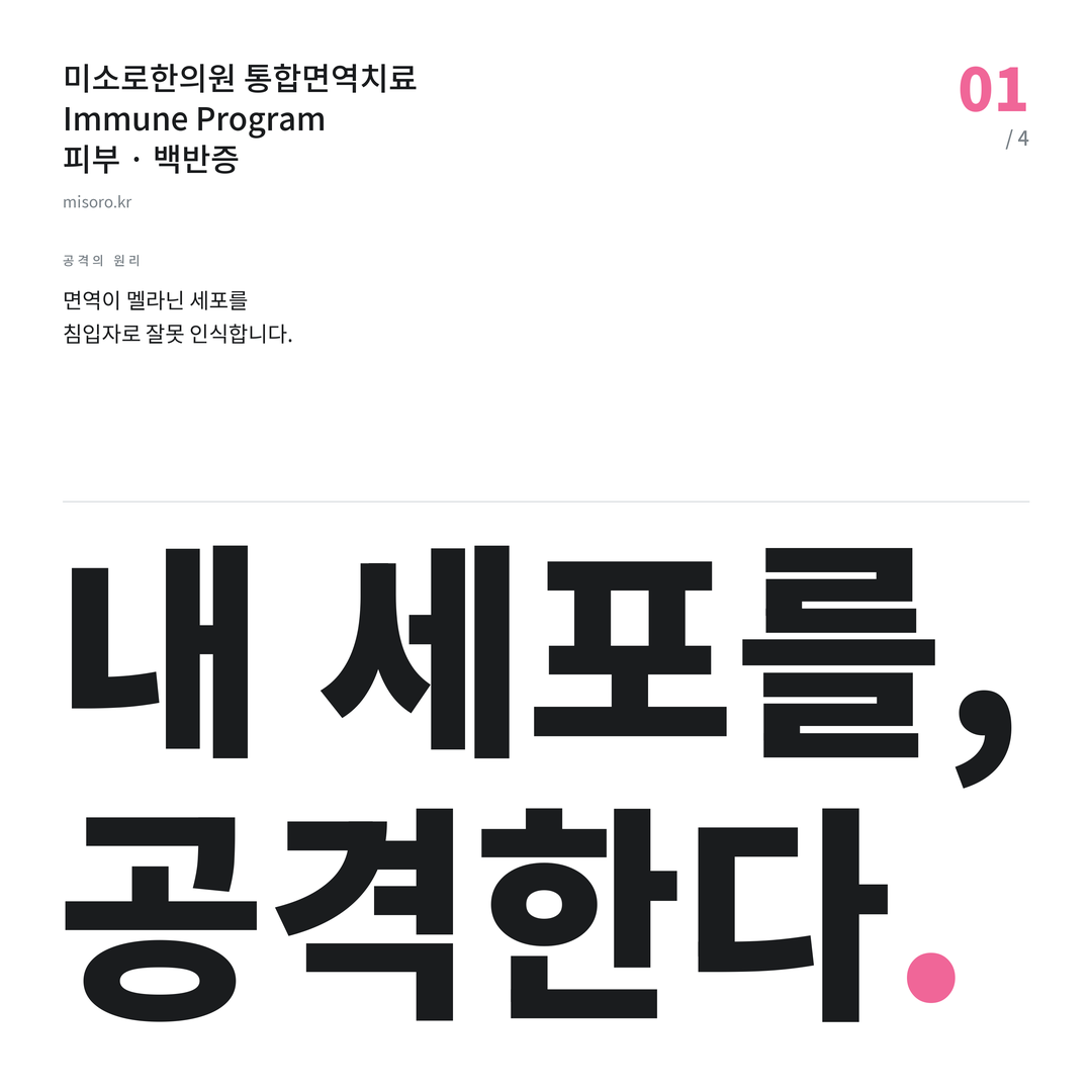 분당 백반증 내 세포를, 공격한다
