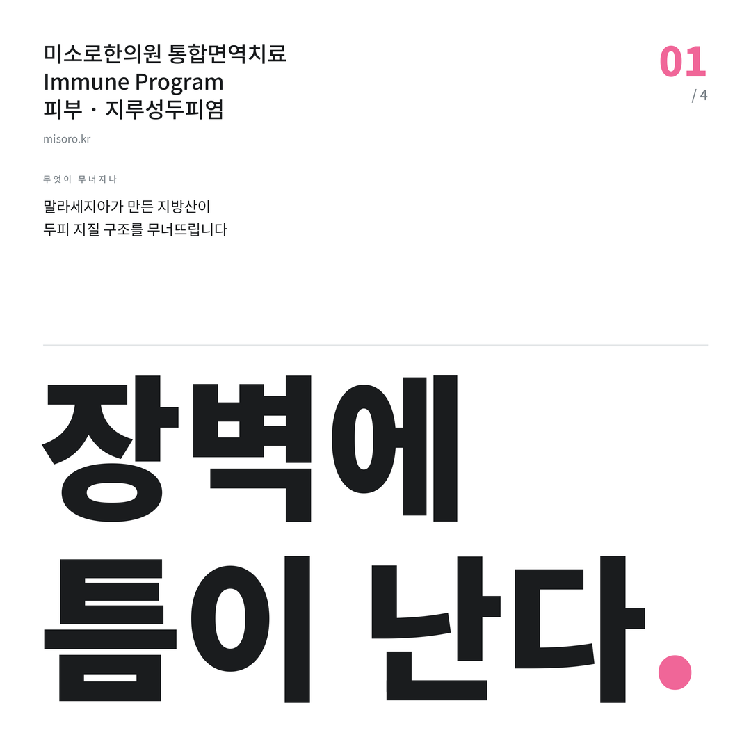 송천동 지루성두피염 장벽에 틈이 난다
