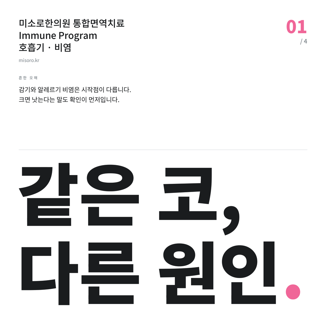 효자동 비염 같은 코, 다른 원인