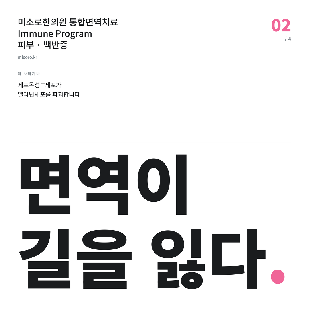 백반증 면역이 길을 잃다