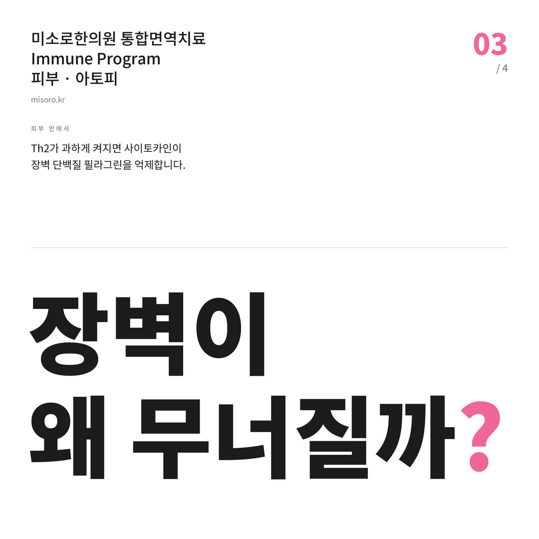 부개동 아토피 장벽이 왜 무너질까?