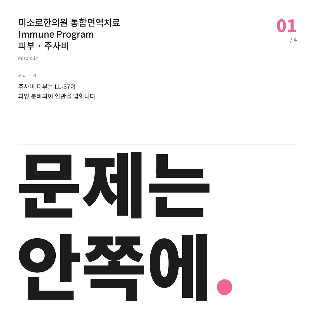 송도 주사비 문제는 안쪽에