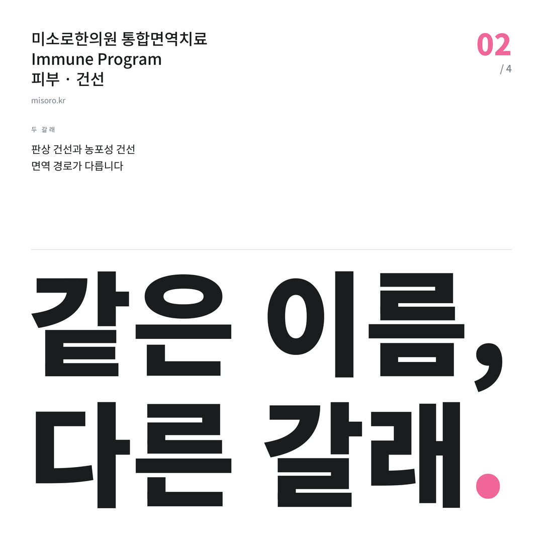 백석동 건선 같은 이름, 다른 갈래