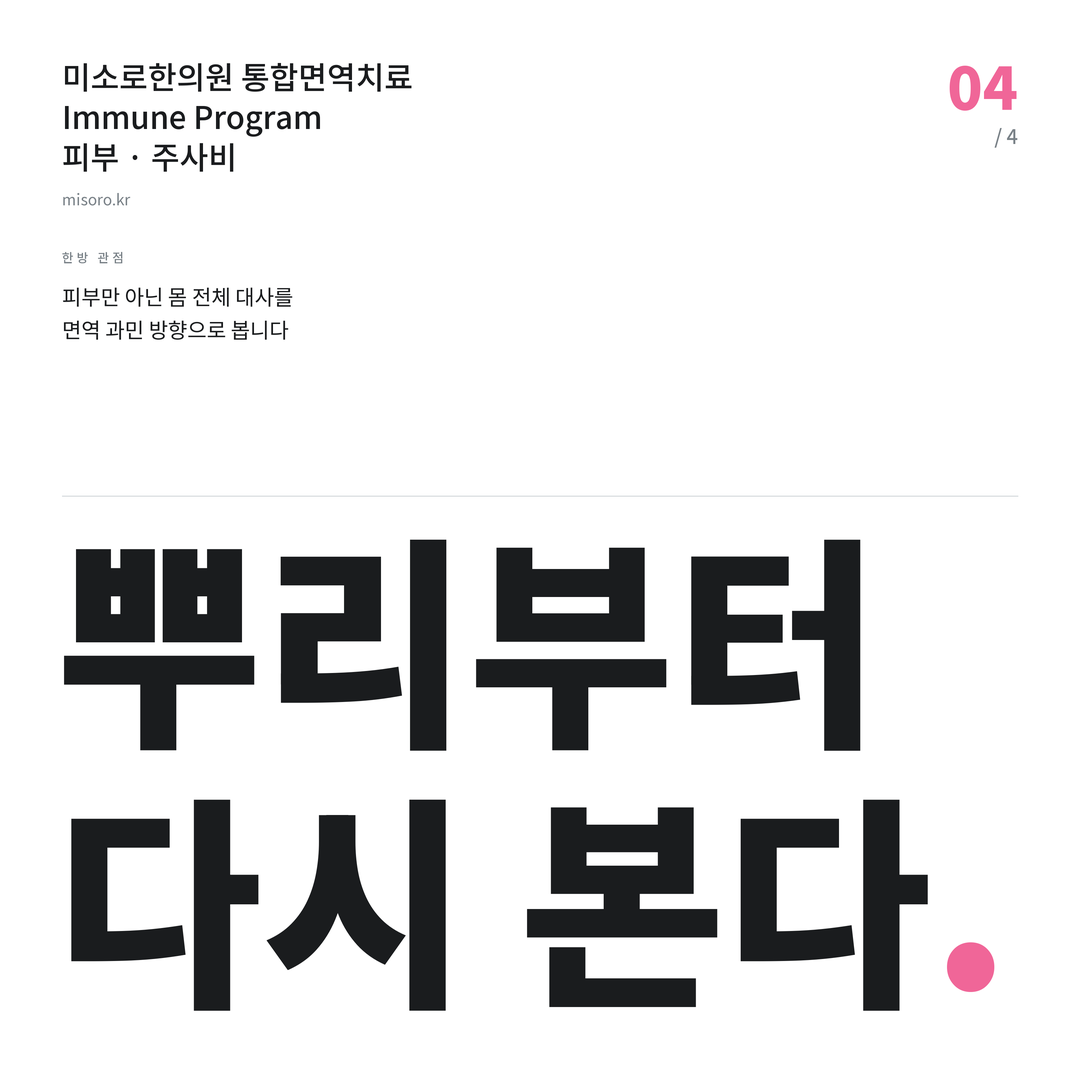 안산 주사비 뿌리부터 다시 본다