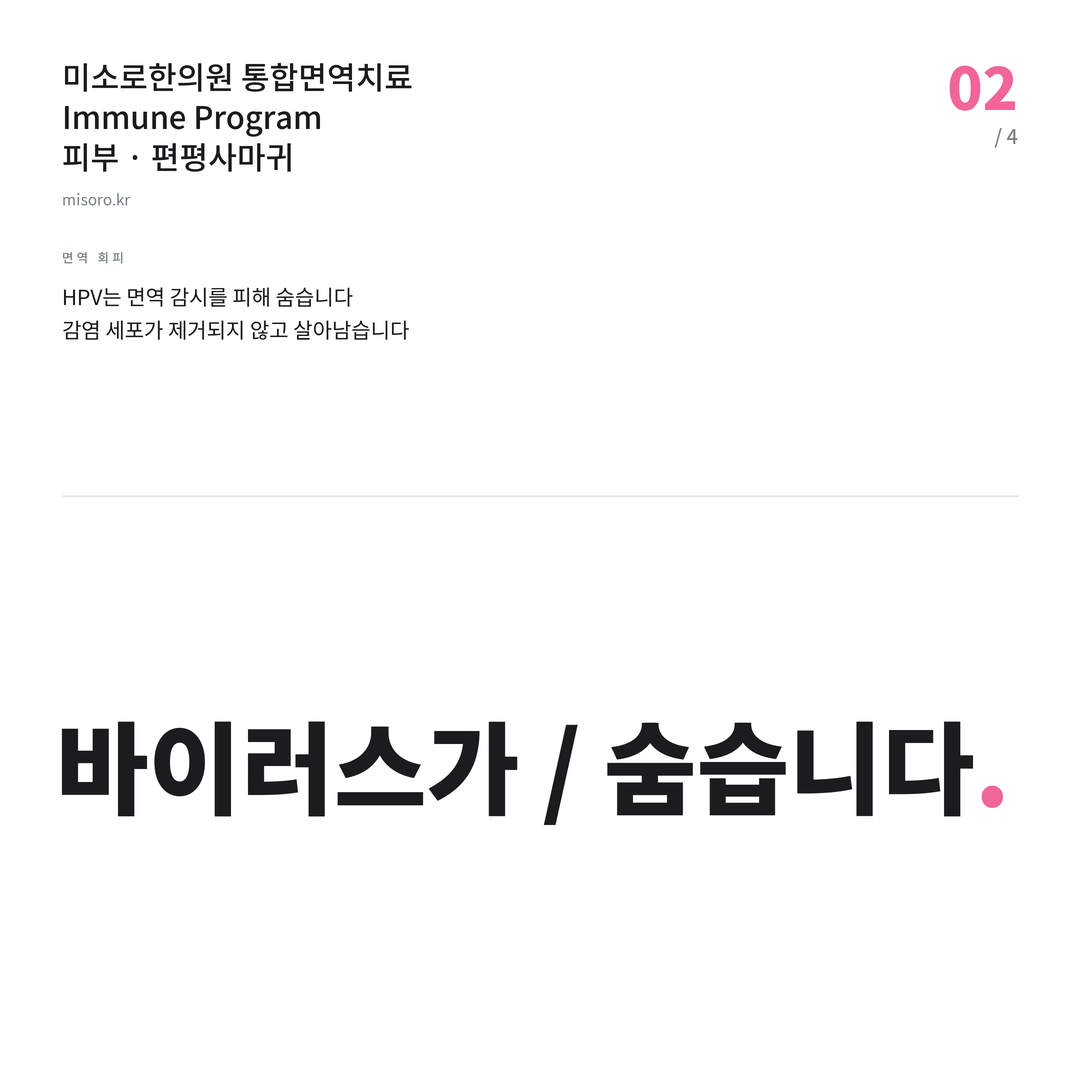 계산동 편평사마귀 바이러스가 / 숨습니다