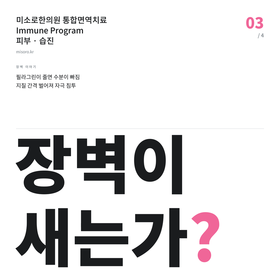 전주 습진 장벽이 새는가?