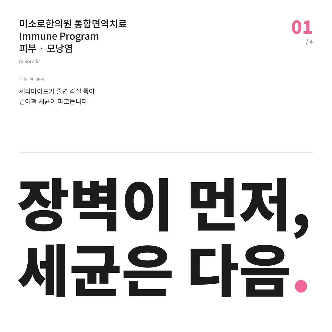 세류동 모낭염 장벽이 먼저, 세균은 다음