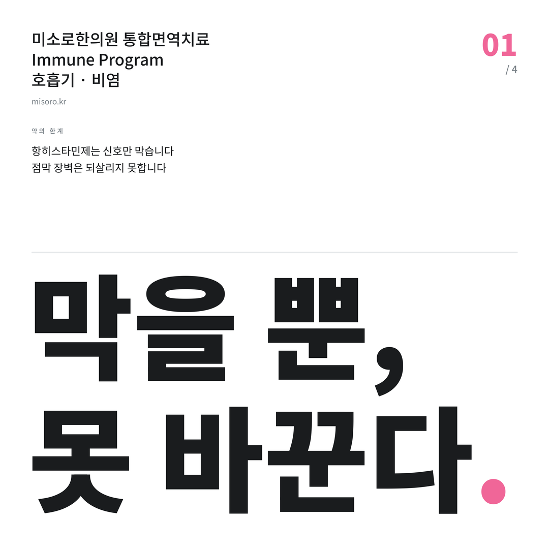 보정동 비염 막을 뿐, 못 바꾼다