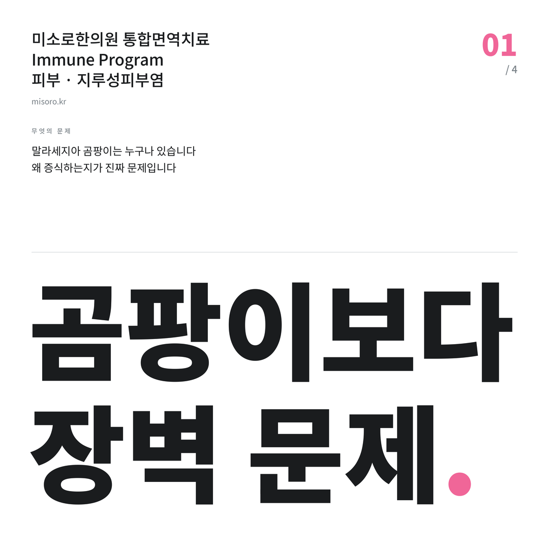 김제 지루성피부염 곰팡이보다 장벽 문제