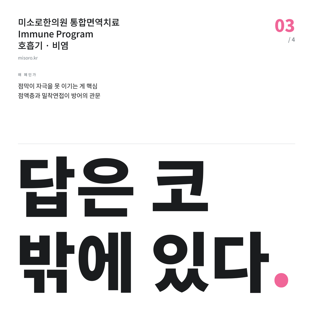 비염 답은 코 밖에 있다