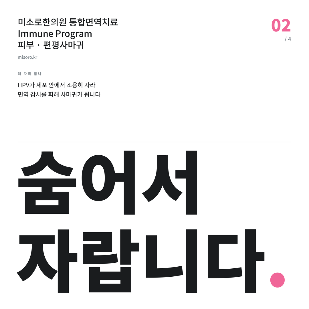 권선동 편평사마귀 숨어서 자랍니다