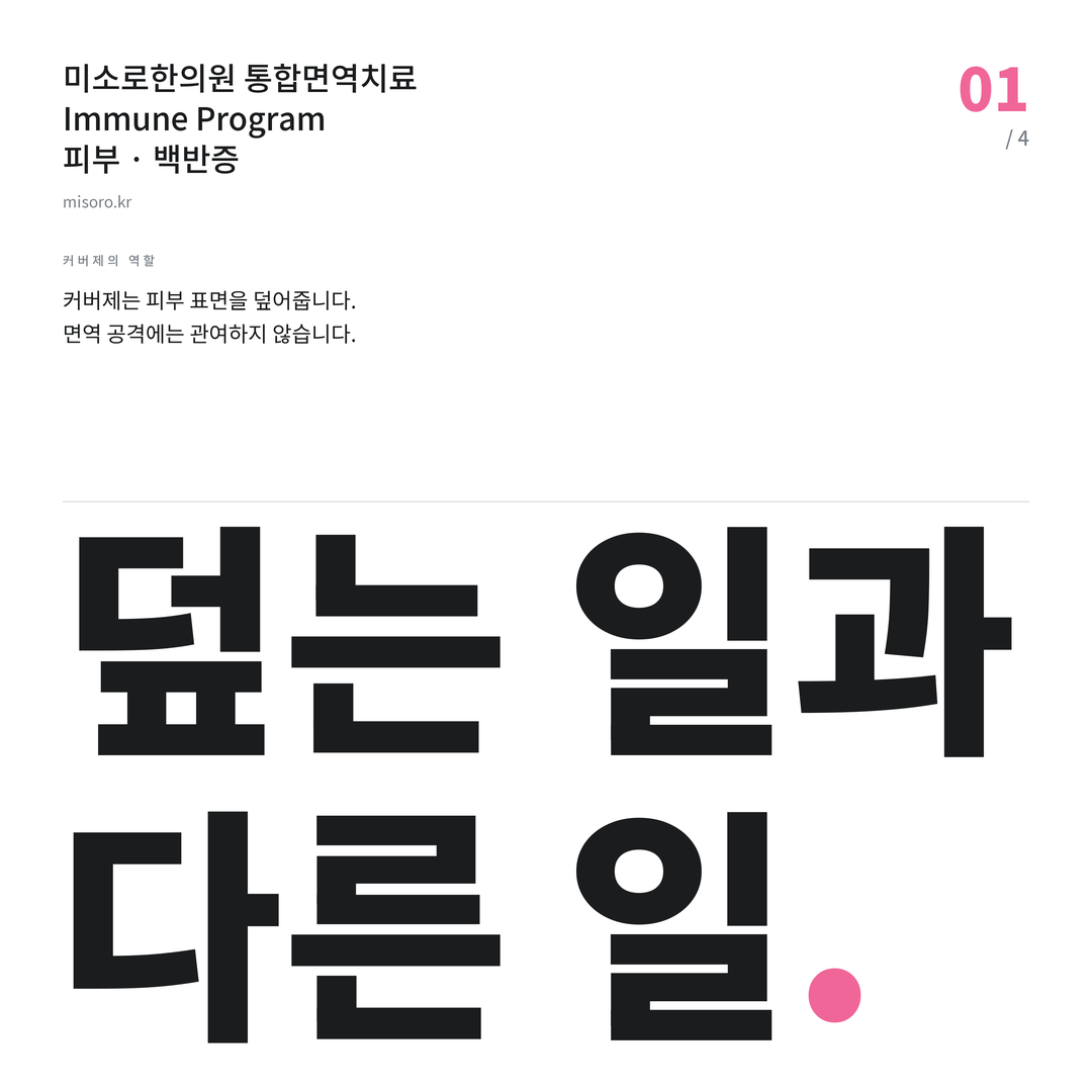 연수동 백반증 덮는 일과 다른 일