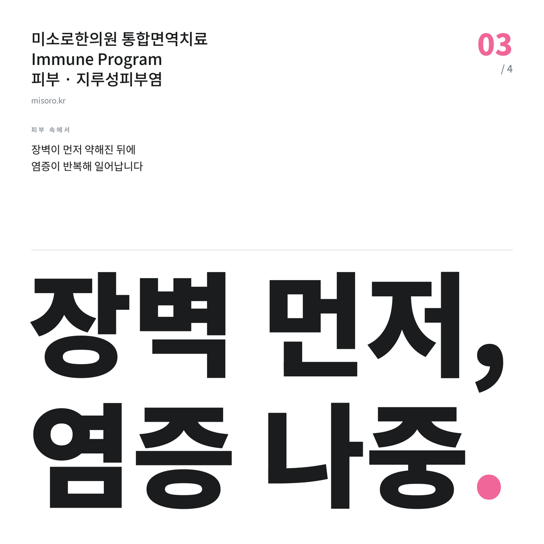 지루성피부염 장벽 먼저, 염증 나중