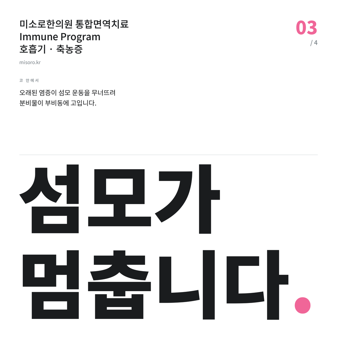 불당 축농증 섬모가 멈춥니다