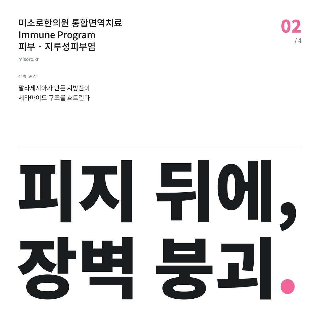 마포 지루성피부염 피지 뒤에, 장벽 붕괴