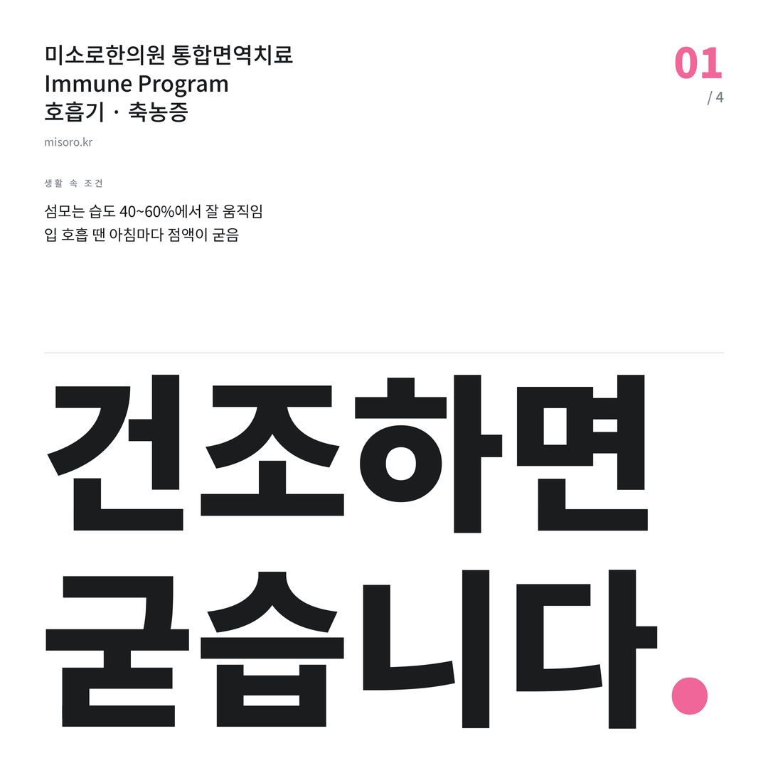 등촌동 축농증 건조하면 굳습니다