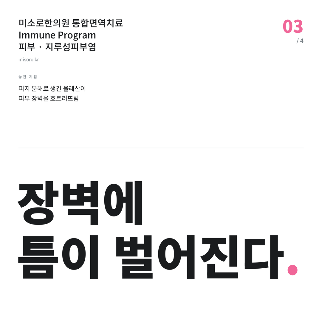 논산 지루성피부염 장벽에 틈이 벌어진다