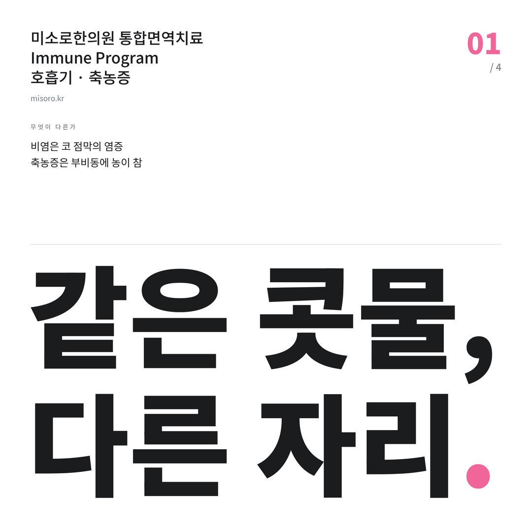 안산 축농증 같은 콧물, 다른 자리