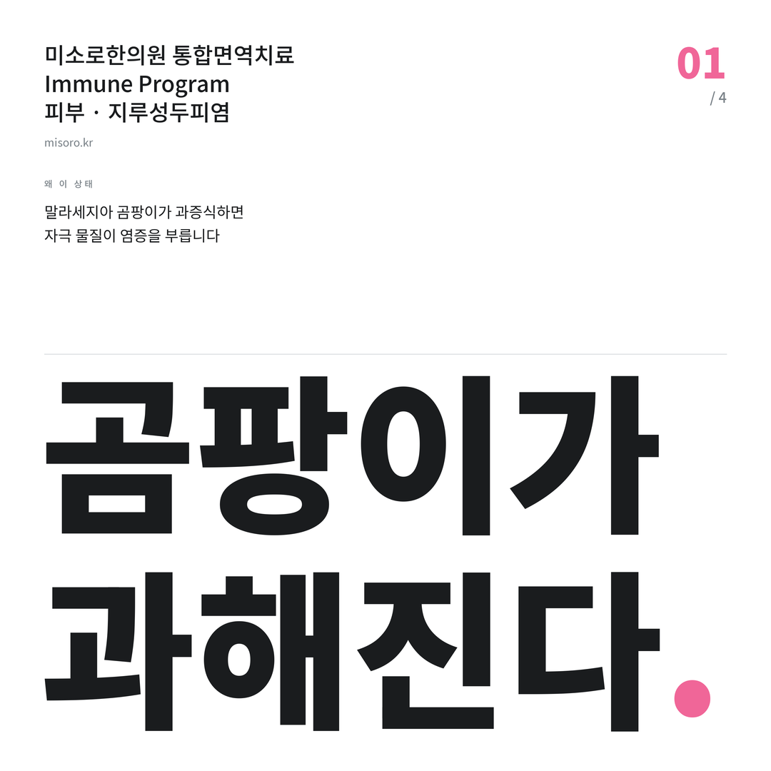 지루성두피염 곰팡이가 과해진다