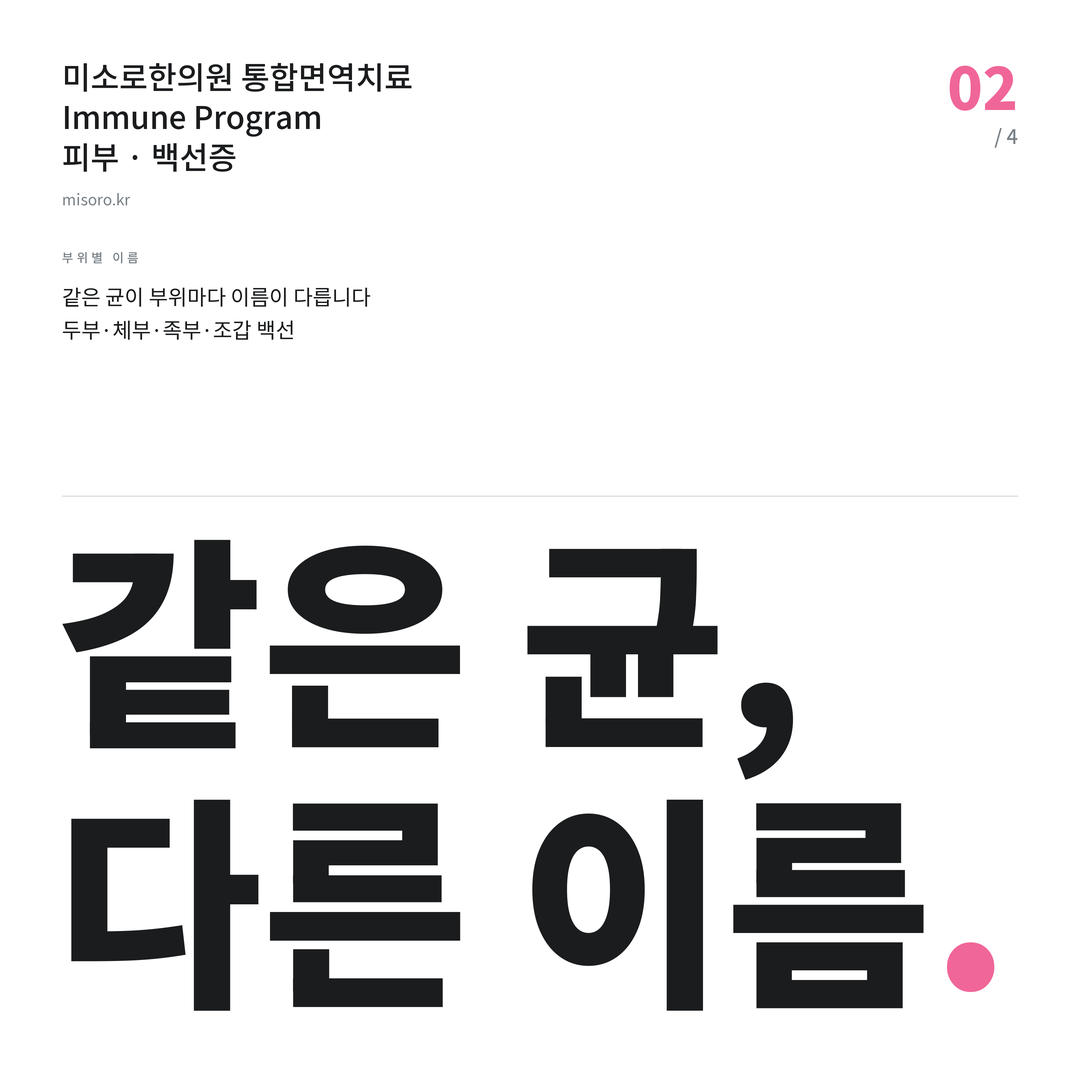 배곧 백선증 같은 균, 다른 이름