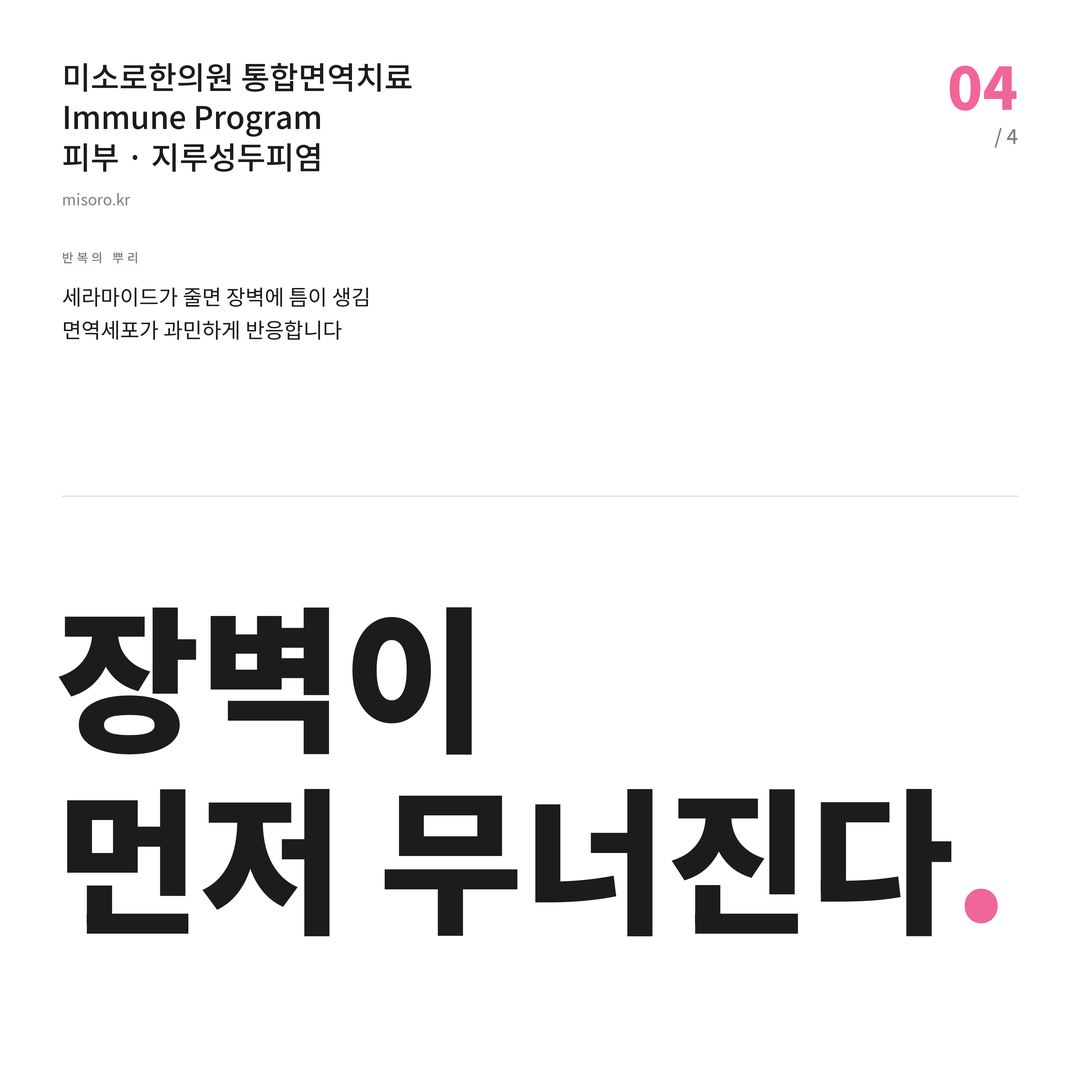 지루성두피염 장벽이 먼저 무너진다