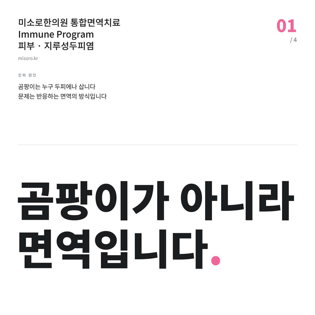 노은동 지루성두피염 곰팡이가 아니라 면역입니다