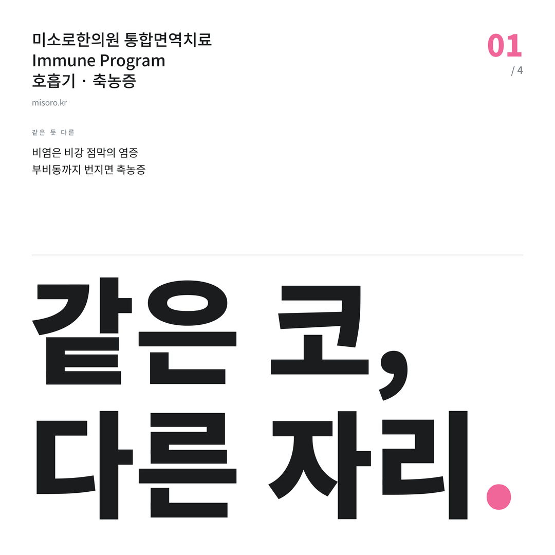 전주 축농증 같은 코, 다른 자리
