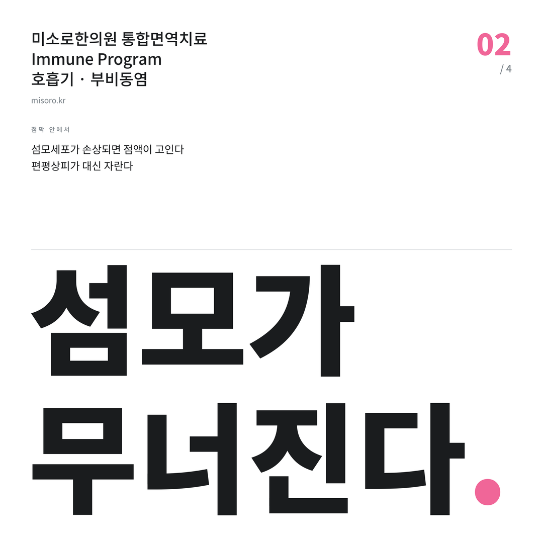 중동 부비동염 섬모가 무너진다