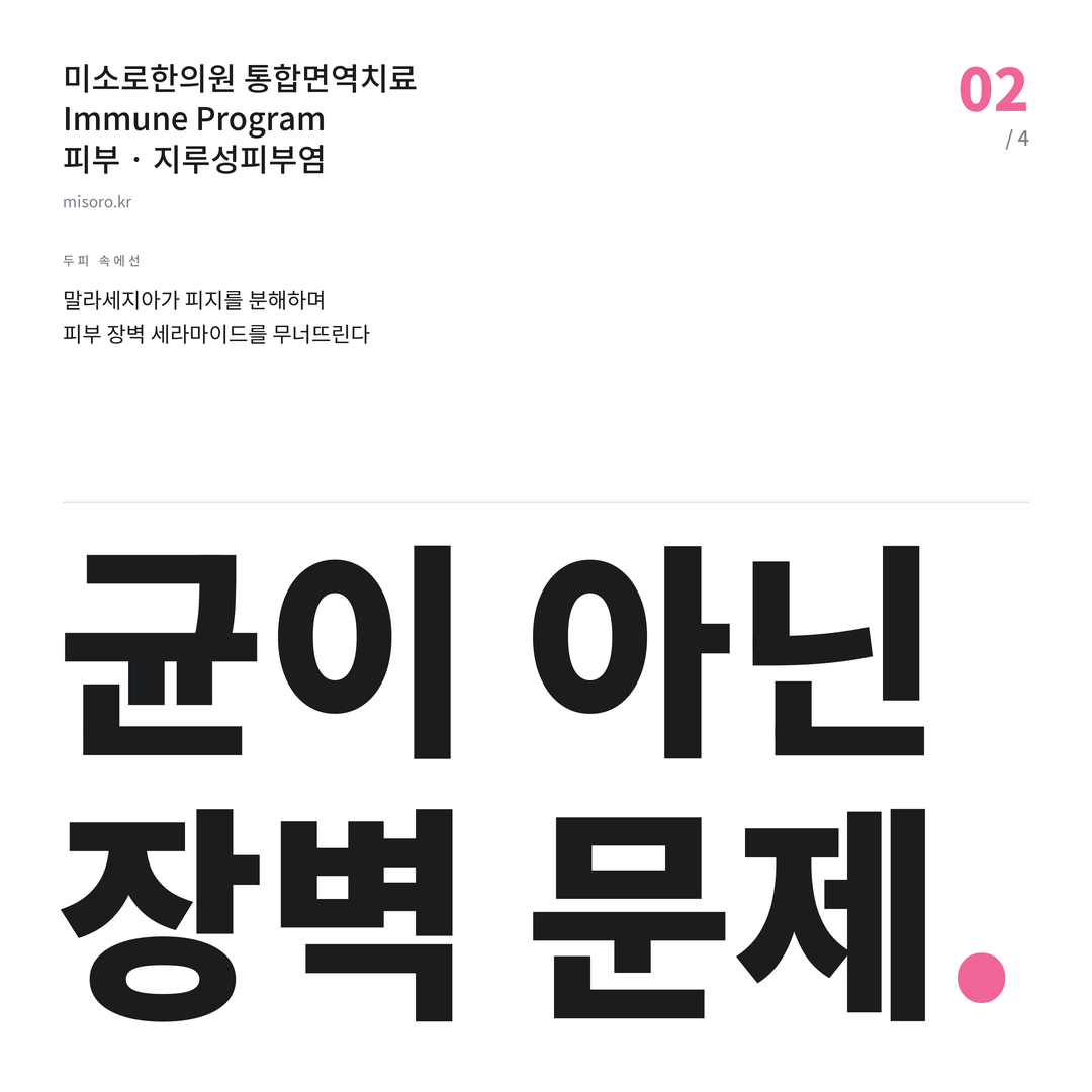 지루성피부염 균이 아닌 장벽 문제