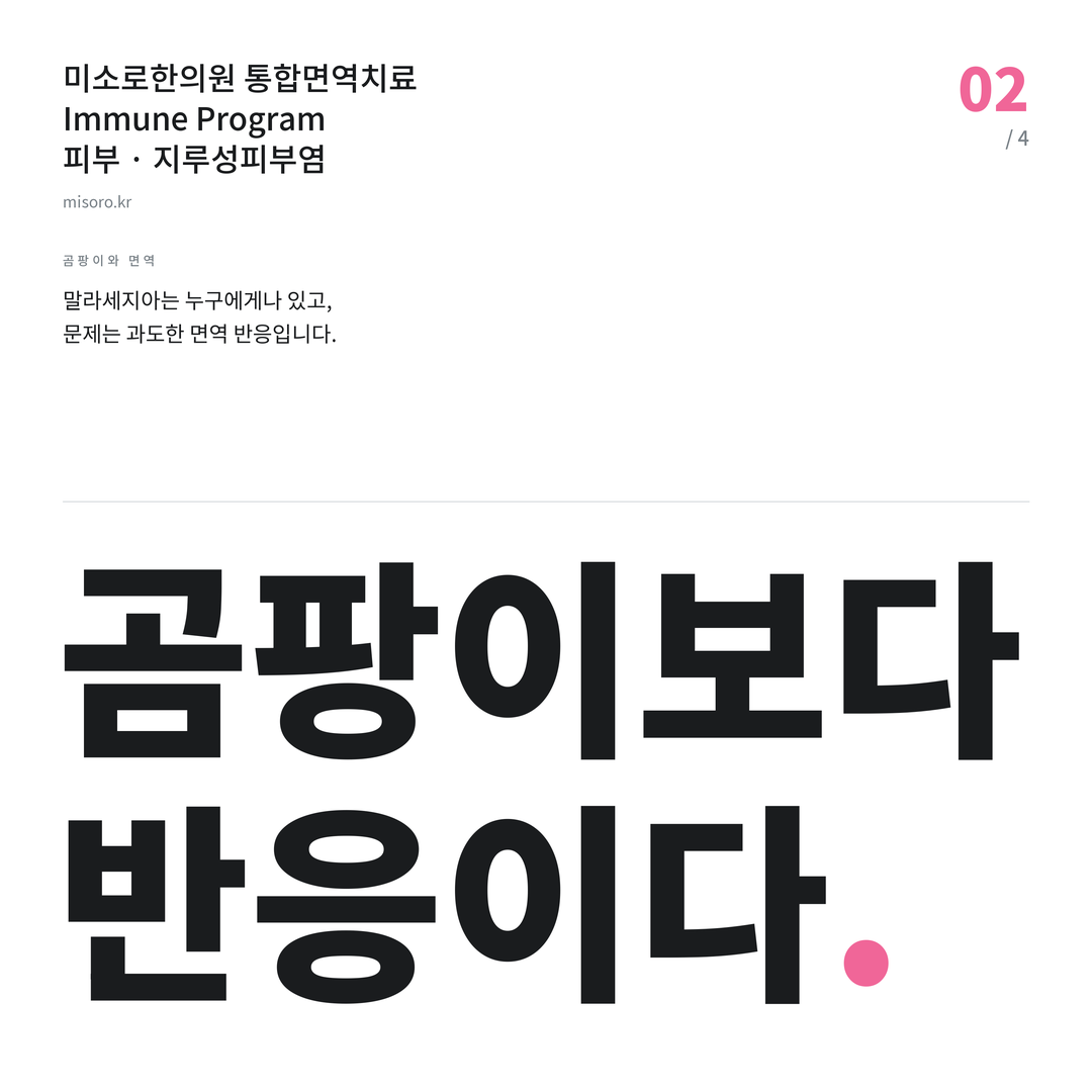 수내동 지루성피부염 곰팡이보다 반응이다
