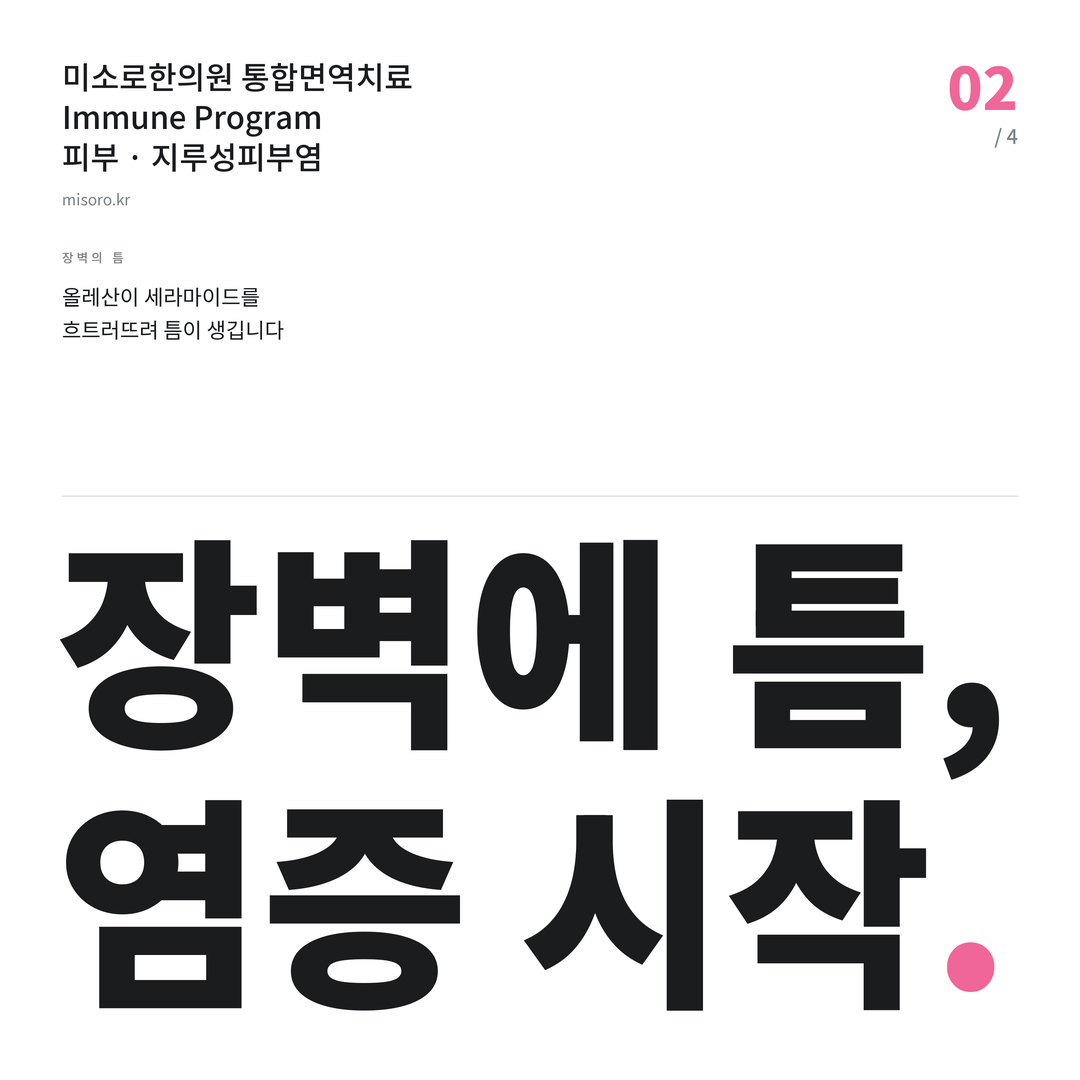 인계동 지루성피부염 장벽에 틈, 염증 시작