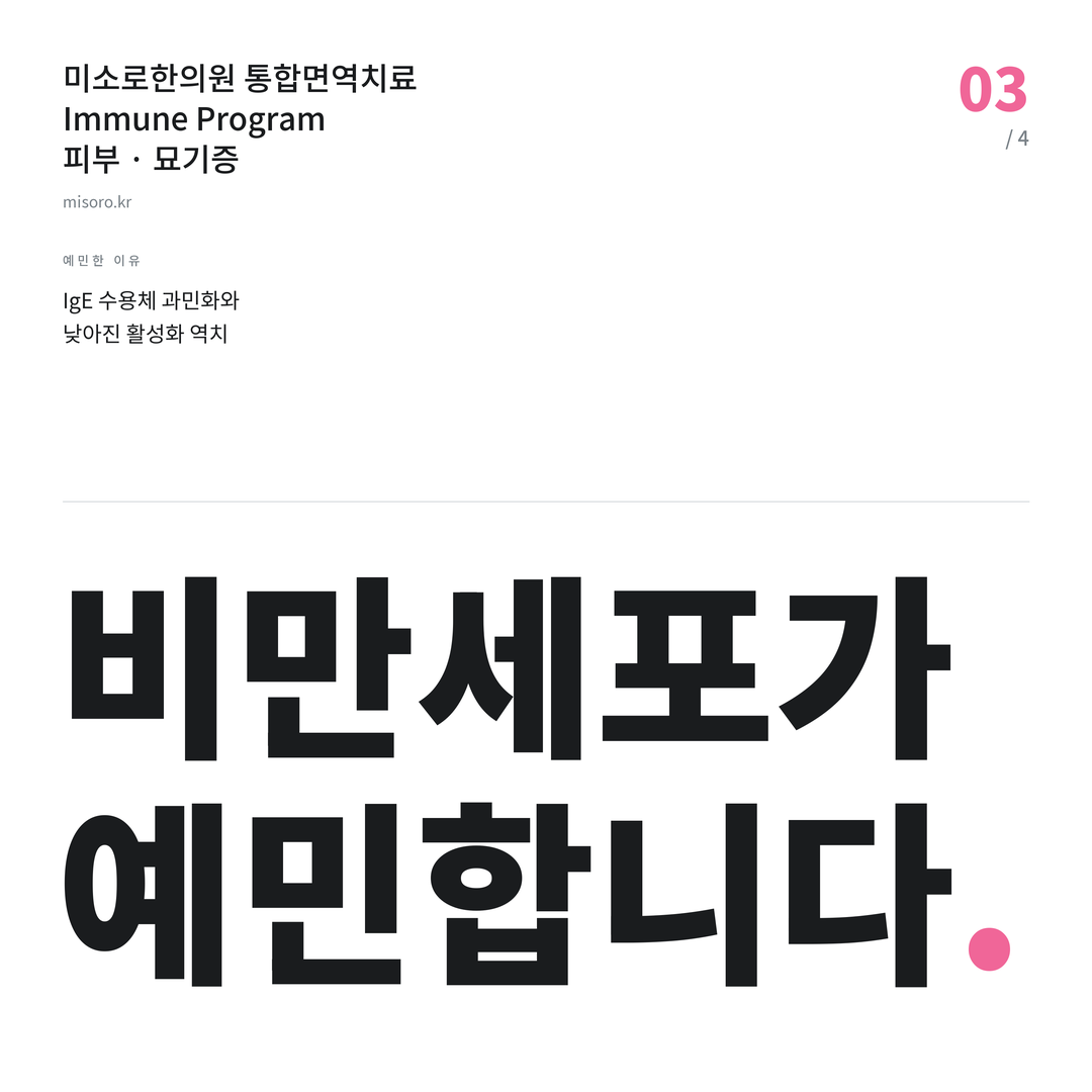 세종 묘기증 비만세포가 예민합니다